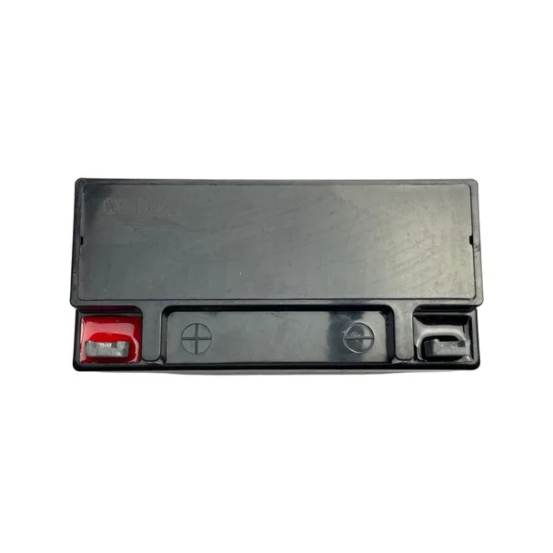 Hyundai Replacement Battery-1235031-Leisure Inverter Generator Parts - Image 2