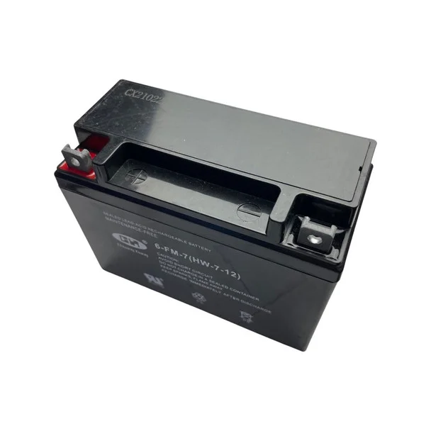 Hyundai Replacement Battery-1235031-Leisure Inverter Generator Parts
