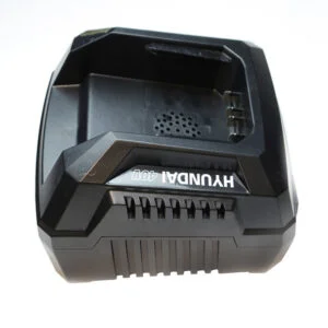 Hyundai Hych402 Replacement C2 Standard Charger (Uk)