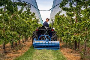 Compact Flail Mowers Fleming Agri - Image 3